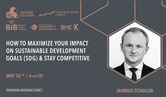 How to maximize your impact on Sustainable Development Goals (SDG) and stay competitive